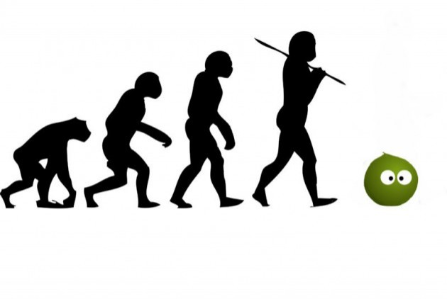 Evolution of man and pea