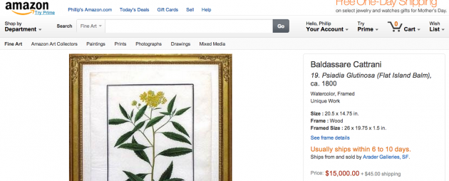 Amazon $15000 flower picture