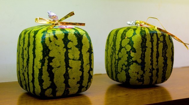 Square watermelons