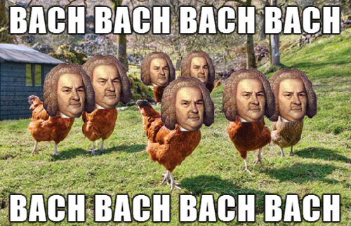 Bach turkeys